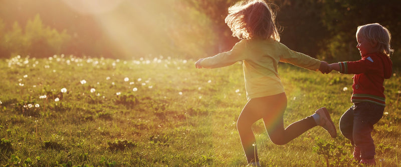 15 activities to do in nature, forests or mountains with your kids
