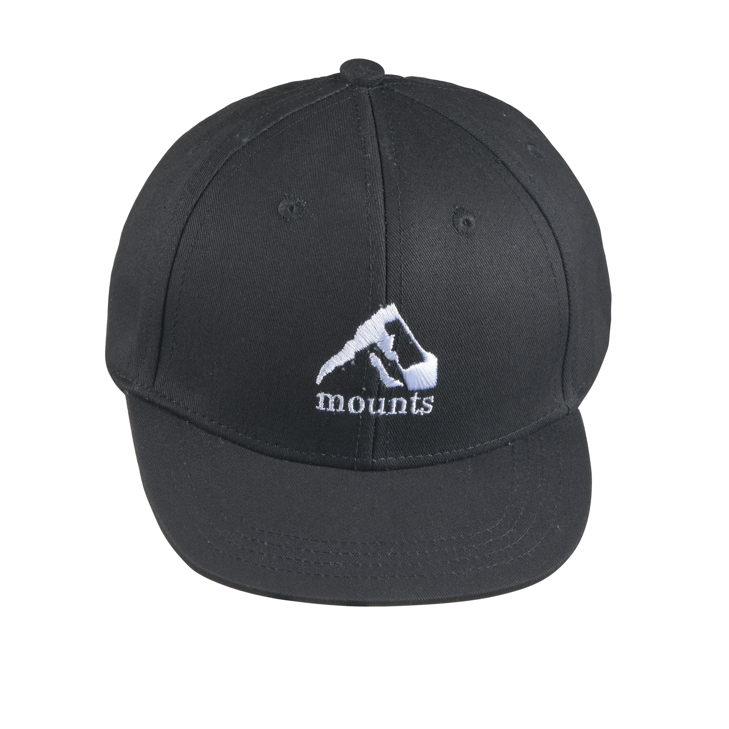 North face flat brim 2025 hat